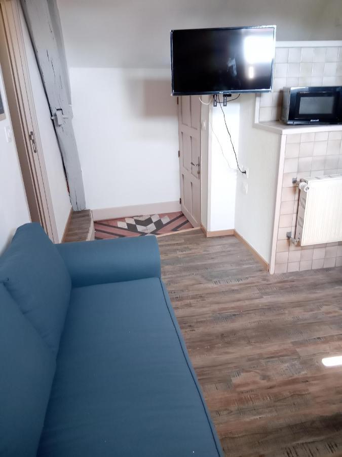 Le Marcel Appartement F1 De 24 M² Choisey Ngoại thất bức ảnh